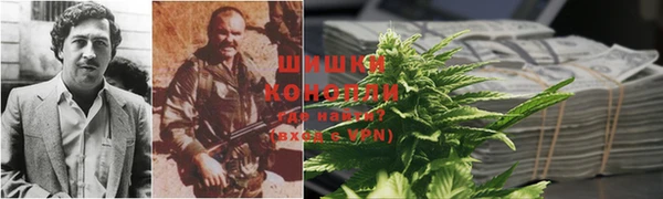 сатива Балабаново