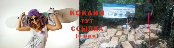 сатива Балабаново