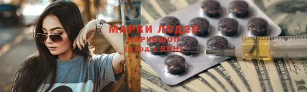 шишки Баксан