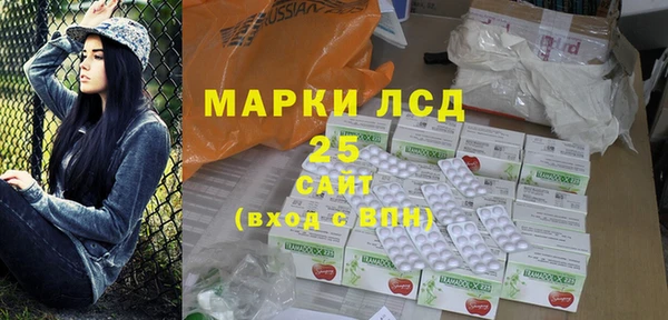 шишки Баксан