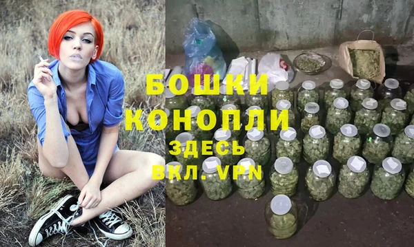 шишки Баксан