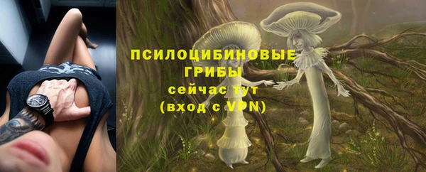 сатива Балабаново