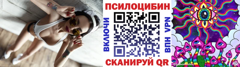 Галлюциногенные грибы Psilocybe Сатка