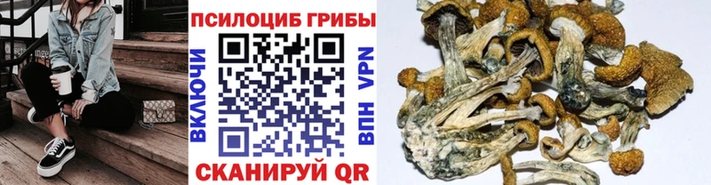 Псилоцибиновые грибы Psilocybine cubensis Сатка